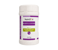 NAC - N-acetyl-L-cysteïne supplement